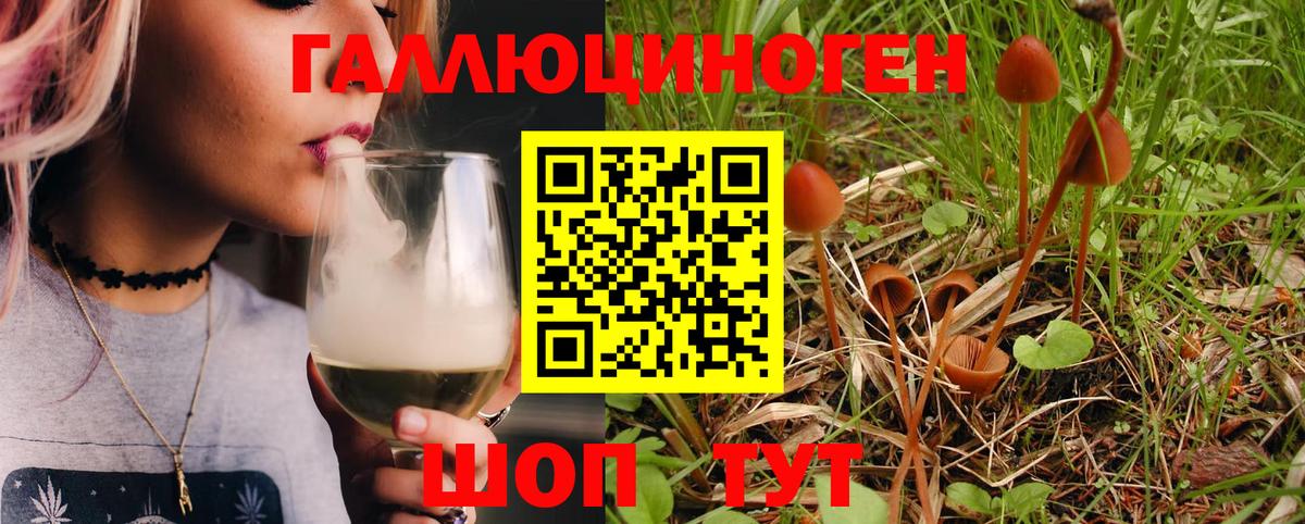 Старая Купавна  Галлюциногенные грибы Magic Shrooms  Вход с VPN 
