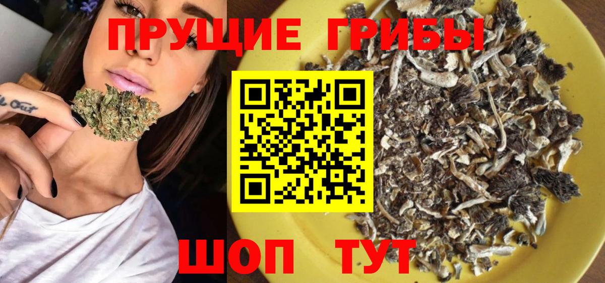 Галлюциногенные грибы Magic Shrooms Старая Купавна
